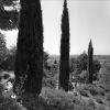 Filename=Villeneuve-lès-Avignon_(Gard),_1966.jpg
Filesize=494KB
Dimensions=800x800
Date added=Jan 14, 2007 Villeneuve-lès-Avignon_(Gard),_1966.jpg