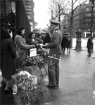 Voir la galerie sur L'Occupation